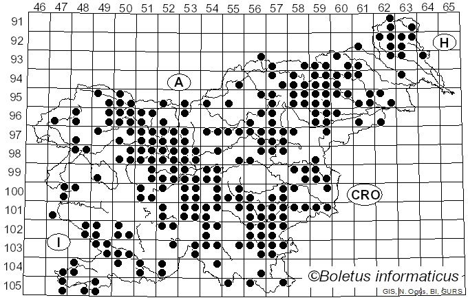 <i>Lyophyllum</i> P. Karst. (1881)