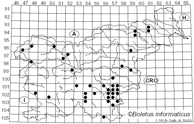 <i>Hemileccinum depilatum</i> (Redeuilh) Šutara (2008)