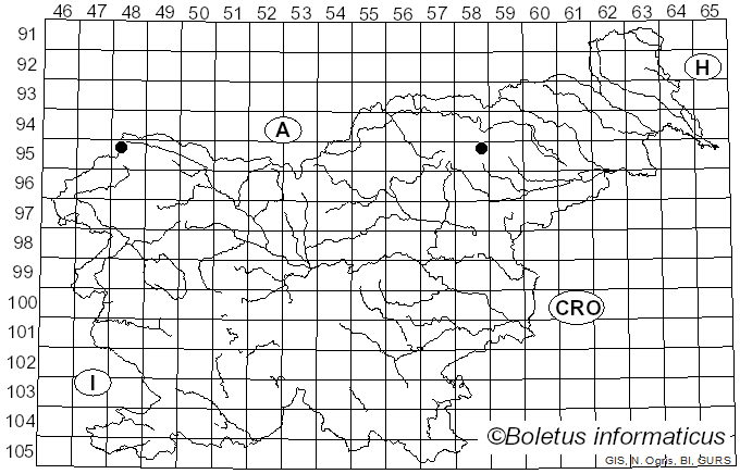 <i>Lachnum pygmaeum</i> (Fr.) Bres. (1903)