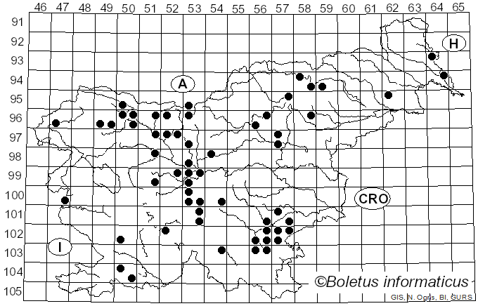 <i>Helvella acetabulum</i> (L.) Quél. (1874)