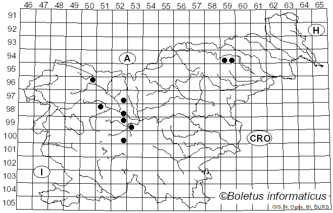 <i>Puccinia pimpinellae</i> (F. Strauss) Link (1824)
