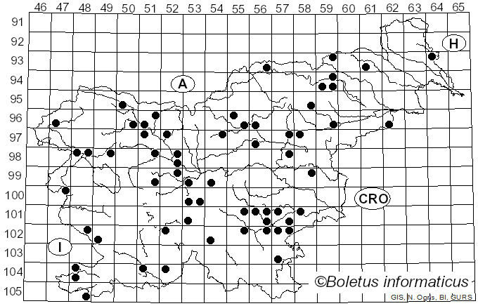 <i>Cortinarius caerulescens</i> (Schaeff.) Fr. (1838)