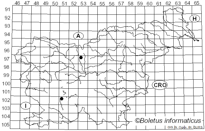 <i>Stereum rubiginosum</i> (Schrad. ex J.F. Gmel.) Gray (1821)