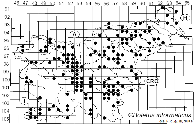 <i>Lentinellus</i> P. Karst. (1879)