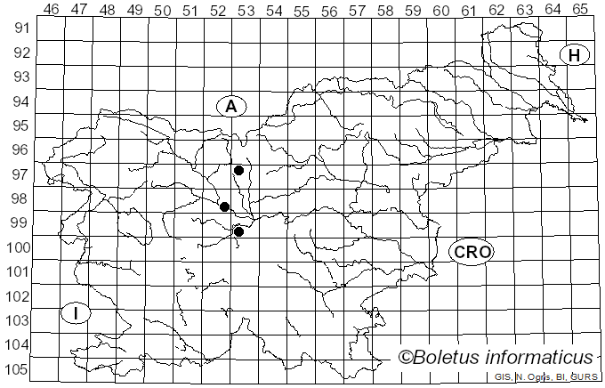 <i>Melampsora hypericorum</i> (DC.) J. Schröt. (1871)