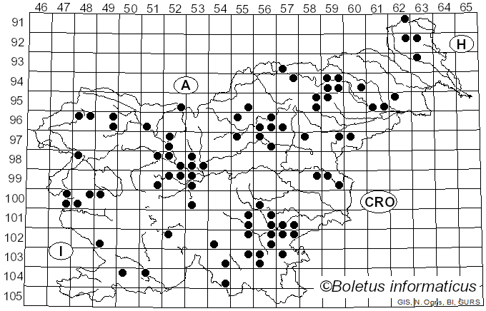<i>Cyanosporus caesius</i> (Schrad.) McGinty (1909)