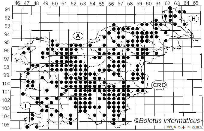 <i>Clitopilus prunulus</i> (Scop.) Fr. (1871)