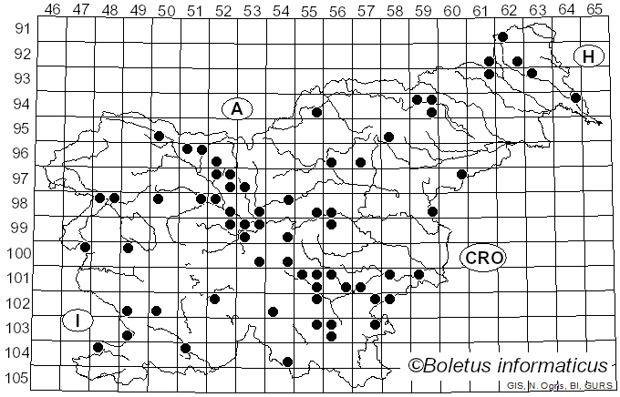 <i>Armillariella</i> (P. Karst.) P. Karst. (1881)