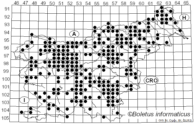 <i>Amanita muscaria</i> (L.) Lam. (1783)