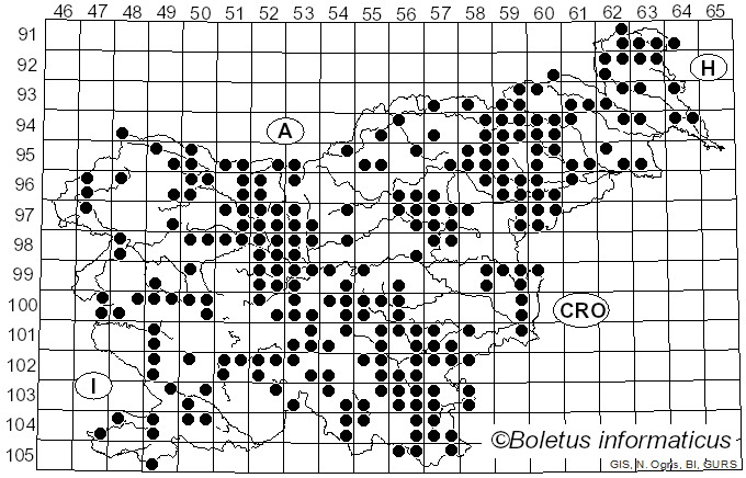 <i>Schizophyllum commune</i> Fr. (1815)