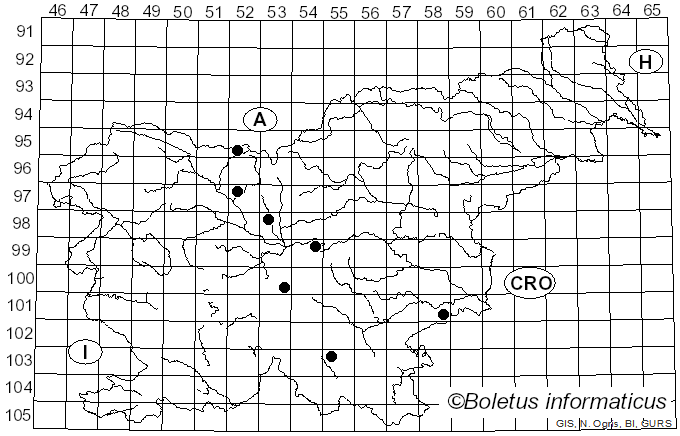 <i>Arvicola</i>