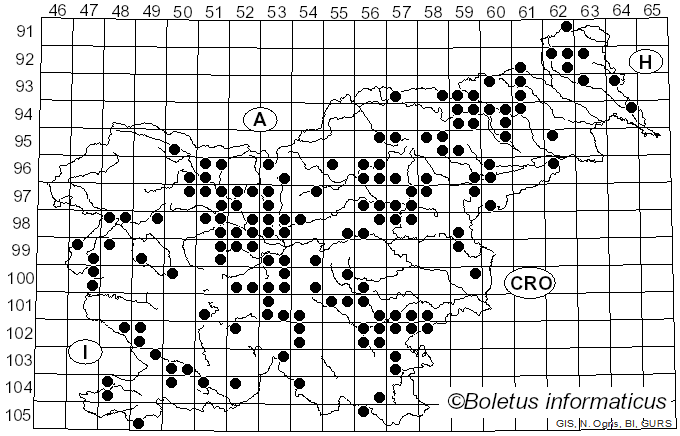 <i>Tricholoma pardinum</i> Quél. (1873)