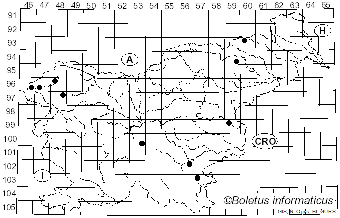 <i>Calonarius meinhardii</i> (Bon) Niskanen & Liimat. (2022)