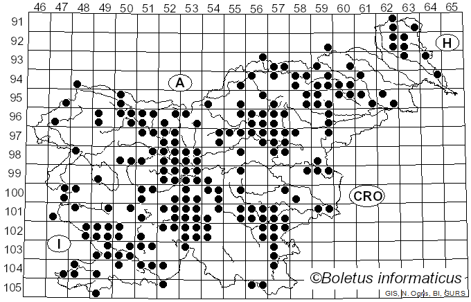<i>Suillus granulatus</i> (L.) Snell (1944)