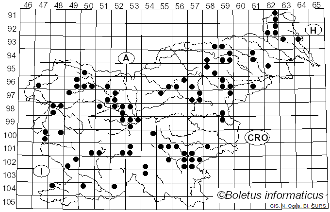 <i>Inocybe geophylla</i> (Bull.) P. Kumm. (1871)