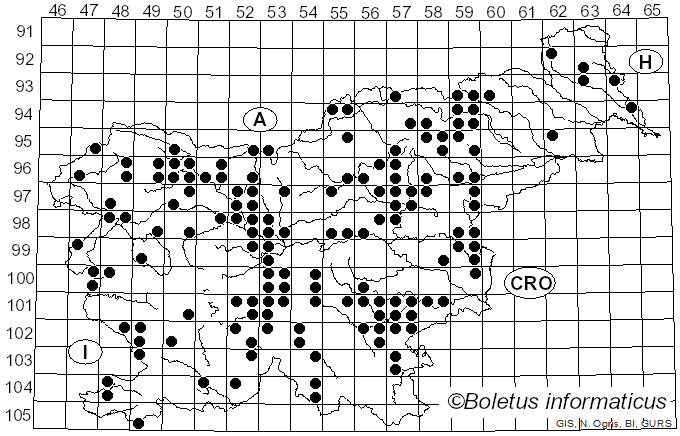 <i>Clavariadelphus</i> Donk (1933)