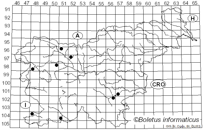 <i>Hypsizygus</i> Singer (1947)