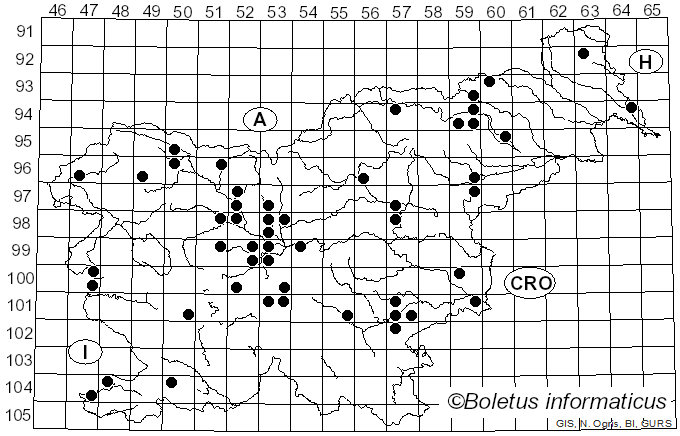 <i>Peziza vesiculosa</i> Bull. (1789)