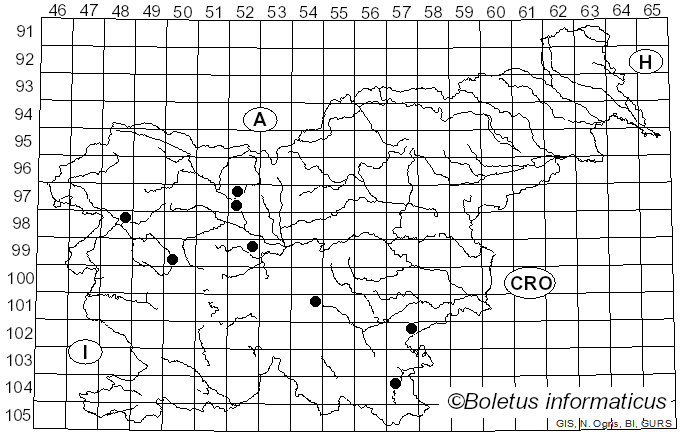 <i>Porpoloma elytroides</i> (Scop.) Singer (1973)