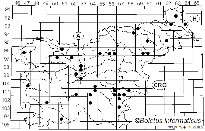 <i>Thelephora anthocephala</i> (Bull.) Fr. (1936)
