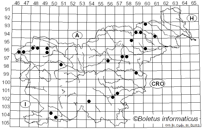 <i>Ramaria gracilis</i> (Pers.) Quél. (1888)