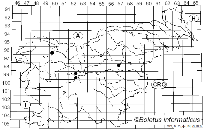 <i>Ovularia vossiana</i> (Thüm.) Sacc. (1886)