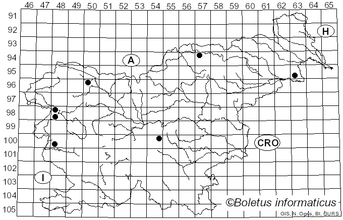 <i>Calyptella</i> Quel. (1886)