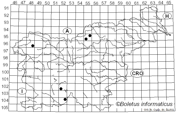 <i>Lecanora subintricata</i> (Nyl.) Th. Fr. (1871)