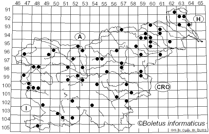 <i>Agaricus semotus</i> Fr. (1863)