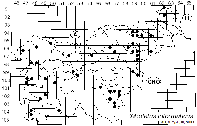 <i>Cortinarius melanotus</i> Kalchbr.