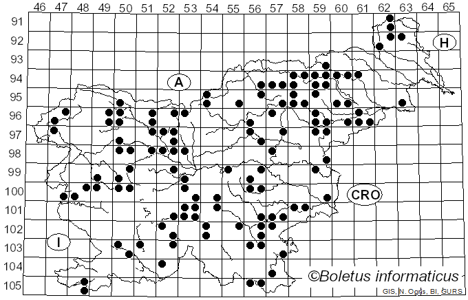 <i>Rickenella</i> Raithelh. (1973)