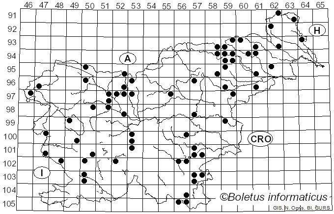 <i>Collybiopsis</i> (J. Schröt.) Earle (1909)