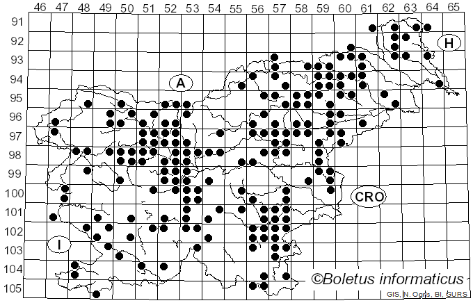 <i>Coprinus comatus</i> (O.F. Müll.) Pers. (1797)