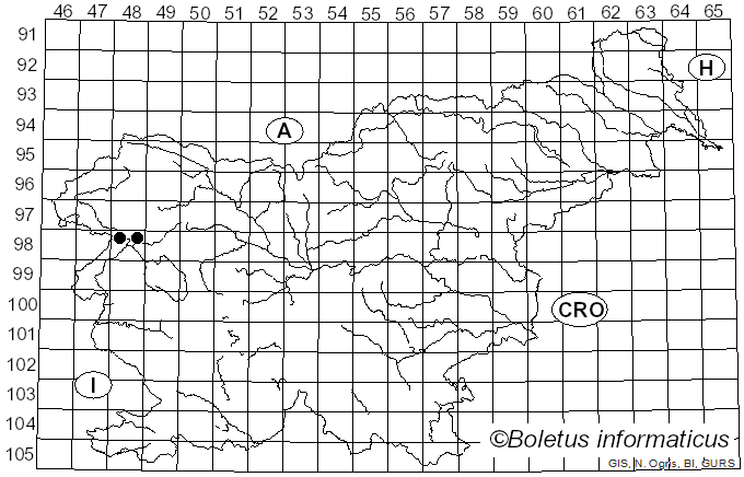 <i>Entoloma politum</i> (Pers.) Donk (1979)