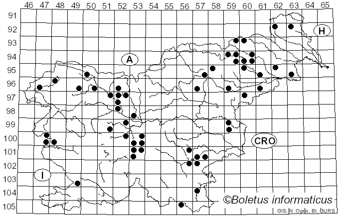 <i>Tubaria furfuracea</i> (Pers.) Gillet (1876)