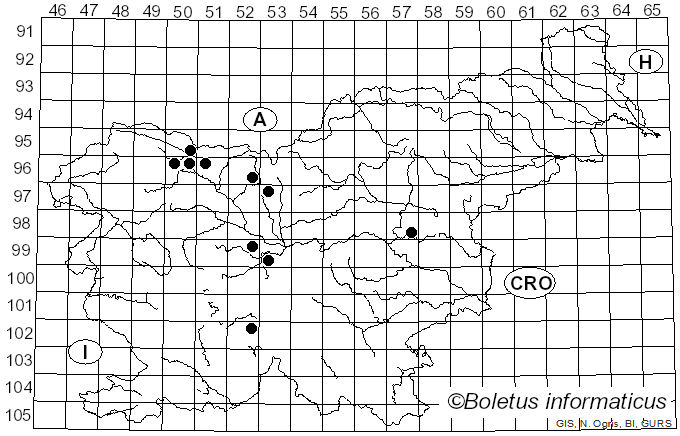 <i>Erysiphe heraclei</i> DC. (1815)