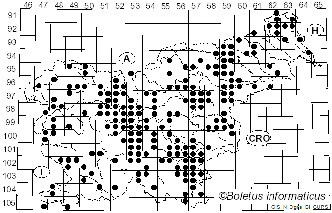 <i>Hygrophorus eburneus</i> (Bull.) Fr. (1838)
