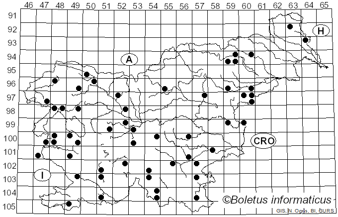 <i>Fuscoporia ferruginosa</i> (Schrad.) Murrill (1907)