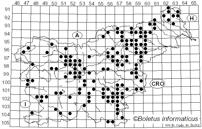 <i>Russula fragilis</i> Fr. (1838)