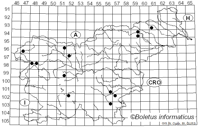 <i>Corticium roseum</i> Pers. (1794)
