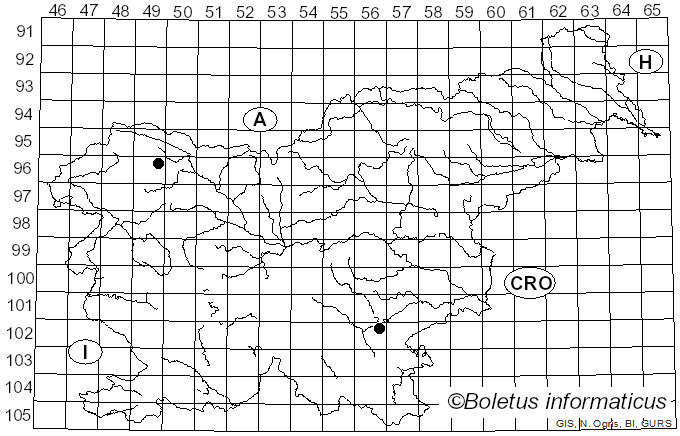 <i>Mycena purpureofusca</i> (Peck) Sacc. (1887)