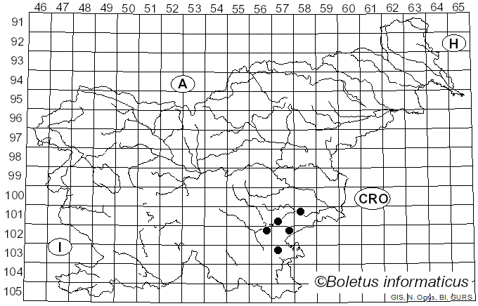 <i>Crepidotus brunneoroseus</i> Courtec. (1994)