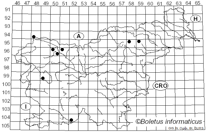 <i>Dissingia confusa</i> (Harmaja) K. Hansen & X.H. Wang (2019)