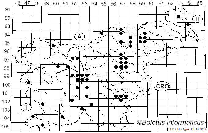 <i>Tricholoma caligatum</i> (Viv.) Ricken (1914)