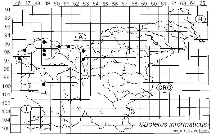 <i>Exobasidium rhododendri</i> (Fuckel) C.E. Cramer (1874)