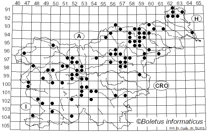 <i>Tricholoma pessundatum</i> (Fr.) Quél. (1821)