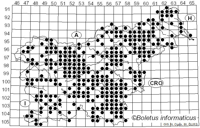 <i>Trametes versicolor</i> (L.) Lloyd (1921)