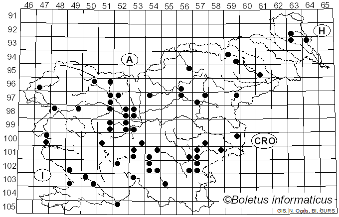 <i>Gyrodon lividus</i> (Bull.) Fr. (1838)