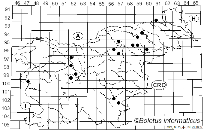 <i>Russula ochracea</i> (Alb. & Schwein.) Fr.