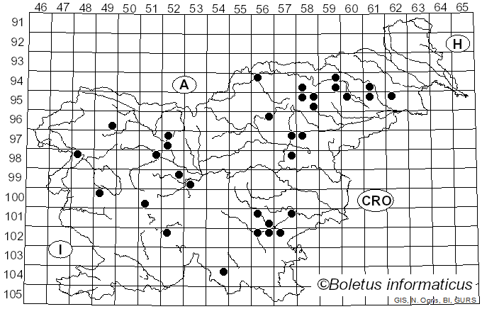 <i>Lasiochlaena</i> Pouzar (1990)